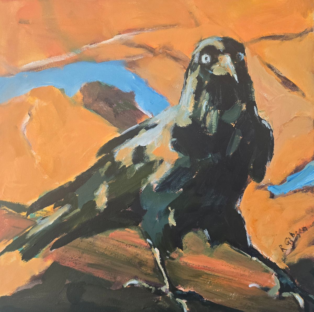 Currarong Crow 400x400 Acrylic on canvas